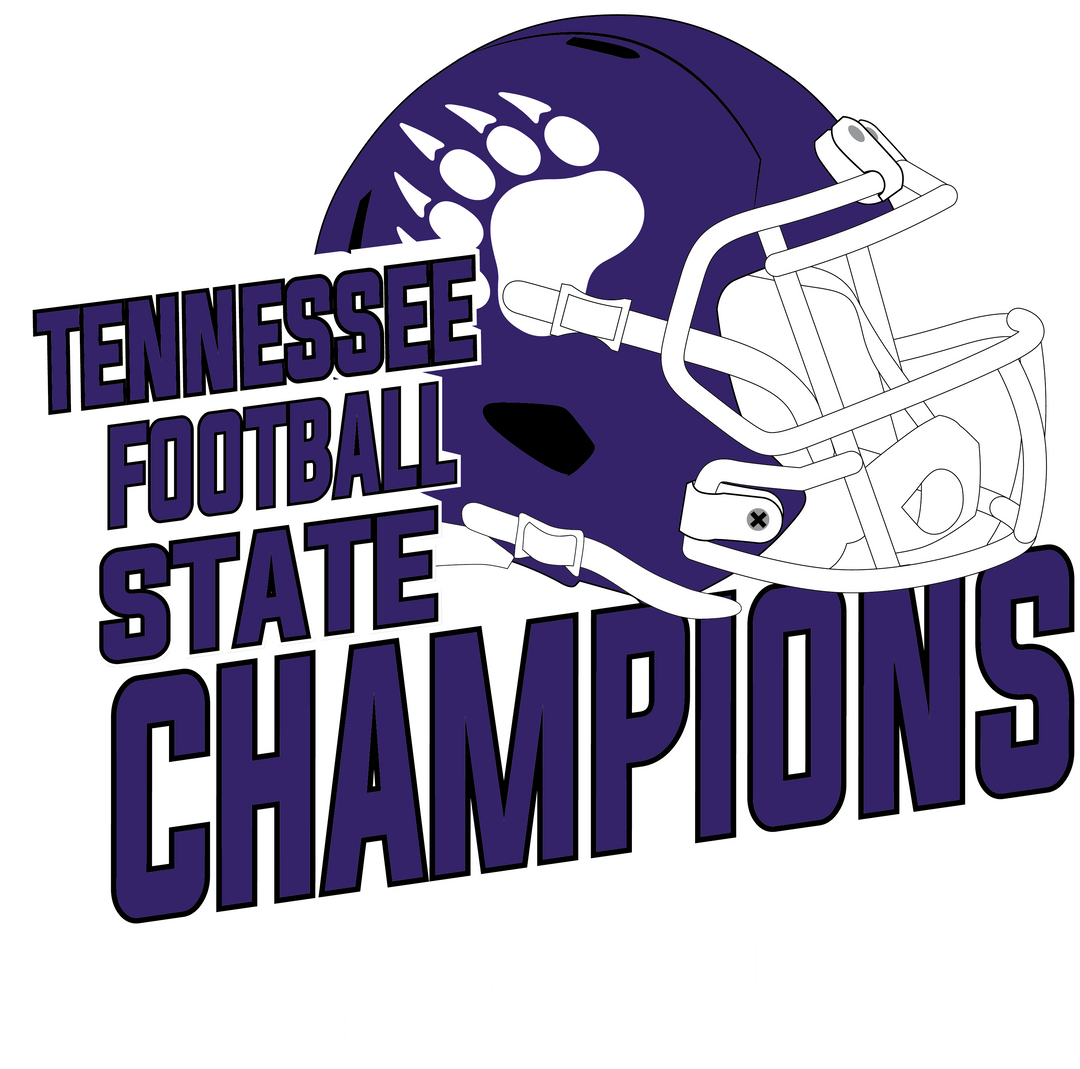 Sevier County High School State Football Champions