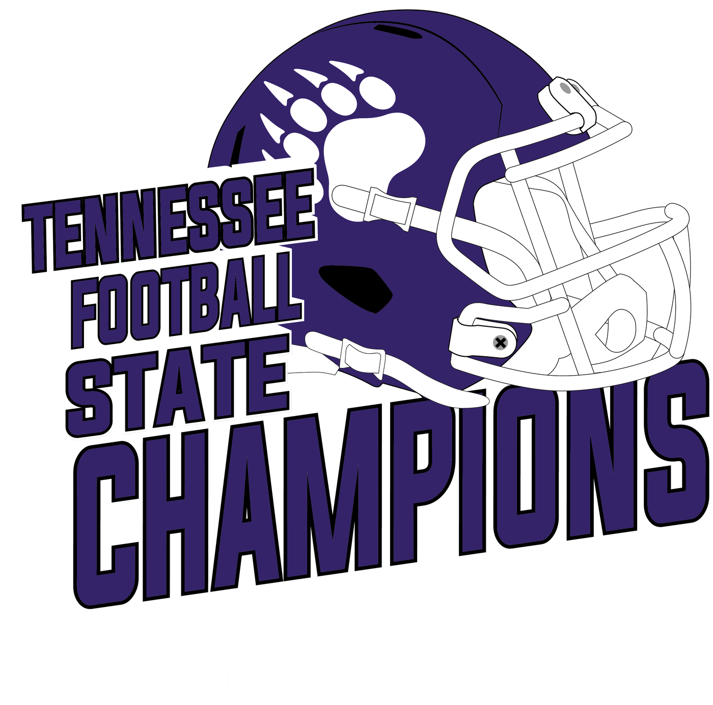 Sevier County High School State Football Champions