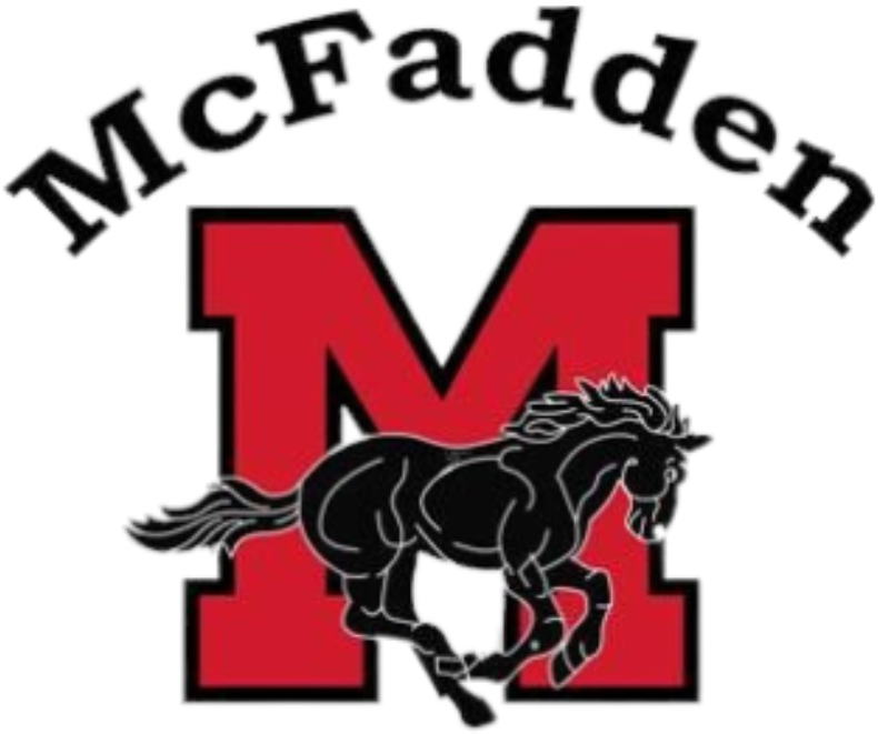 McFadden School of Excellence