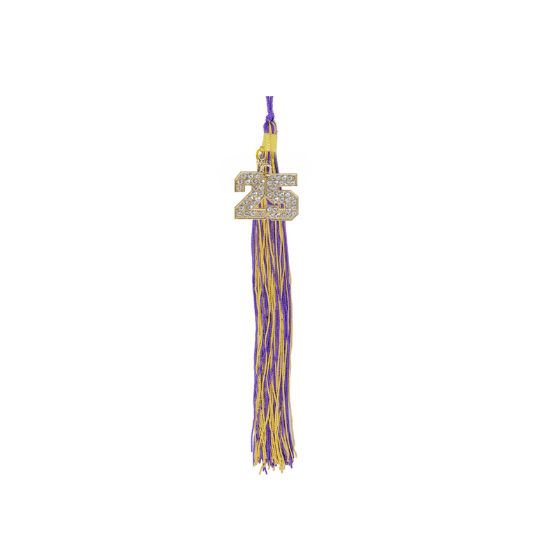 Class of 2025 Bling Mega Tassel | Riverside Christian Academy