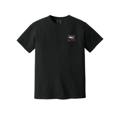 Eagleville School Drawing T-Shirt | Eagleville High School