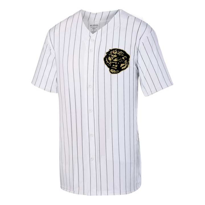 Central Magnet Tigers Baseball Pinstripe Jersey | Adult