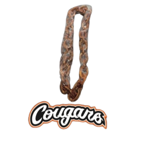 Cougars Youth Supporter Pack