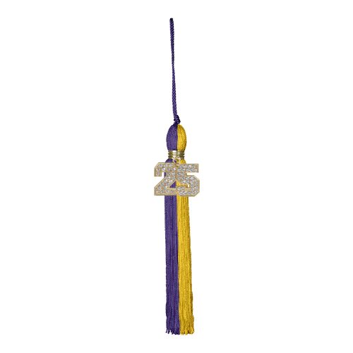 Class of 2025 Mega Tassel with Bling Signet | Columbia Central High School