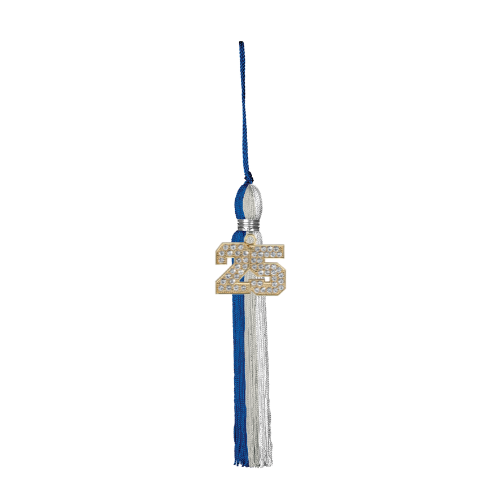 Class of 2025 Mega Bling Tassel | Livingston Academy