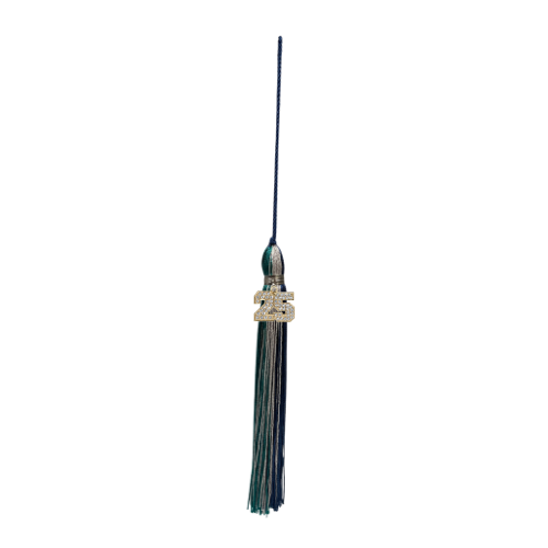 Class of 2025 Mega Bling Tassel | Siegel High School