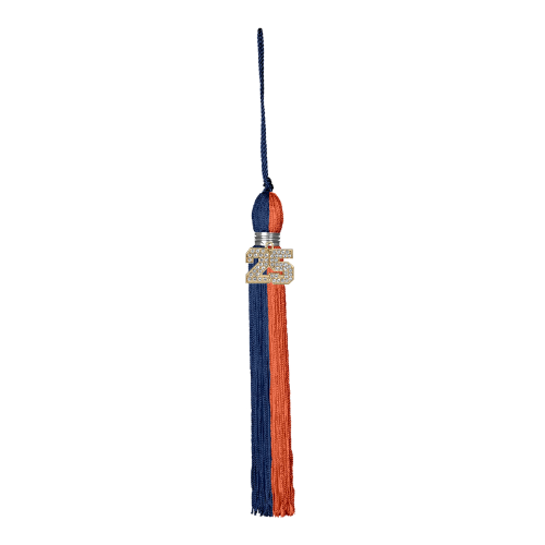 Class of 2025 Bling Tassel | Summit High School