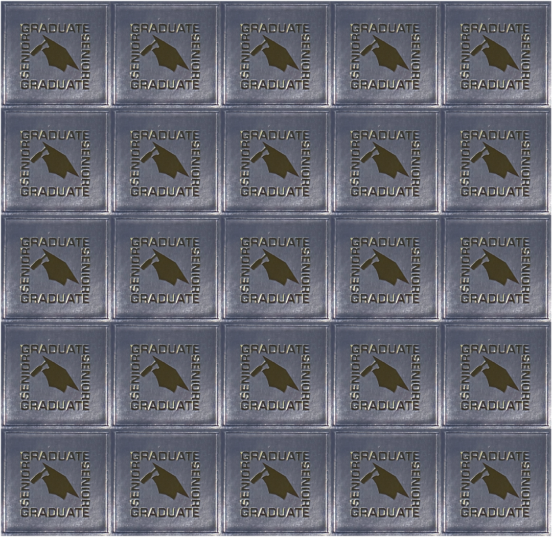 Envelope Seal Sheet (25 Per Sheet) | Lebanon High School