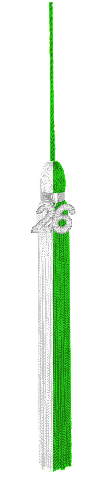 Class of 2026 Bling Tassel | Lead Academy High School
